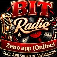 Bit Radio