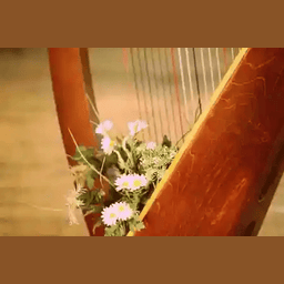 Radio Art - Solo Harp