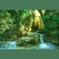 Radio Art - Nature Sounds
